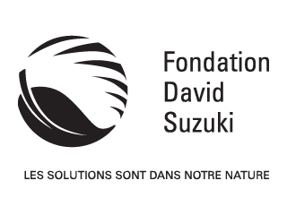 FondationDavidSuzuki_noir